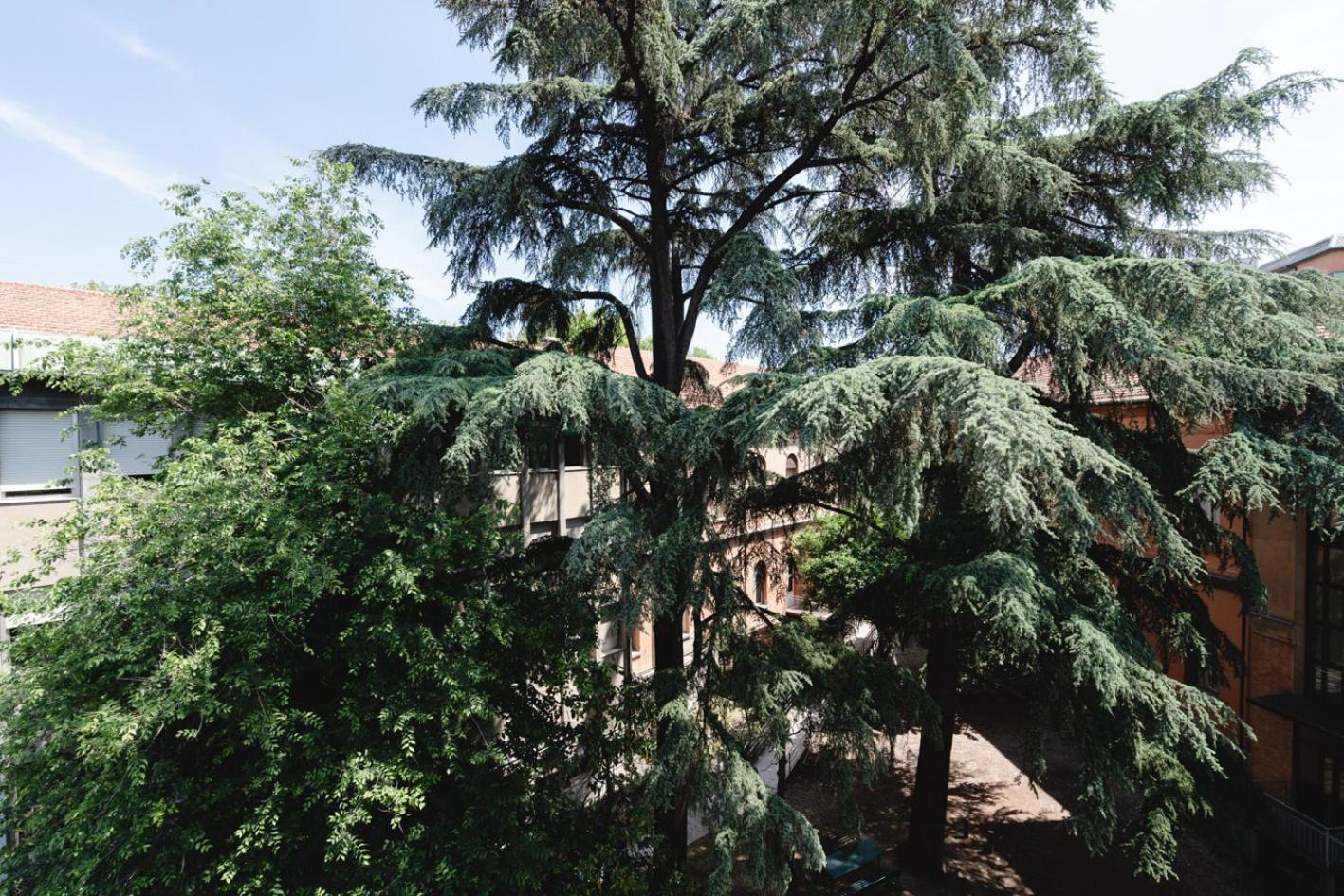 La Favolosa Casa Di Amelie Boloňa Exteriér fotografie